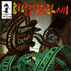 Thoracic Spine Collapser mp3 Album by Buckethead