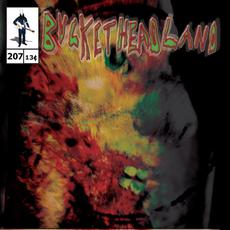 365 Days Til Halloween: Smash mp3 Album by Buckethead
