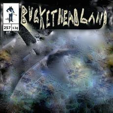 Blank Slate mp3 Album by Buckethead