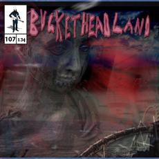 Weird Glows Gleam mp3 Album by Buckethead