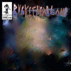 Echo mp3 Album by Buckethead