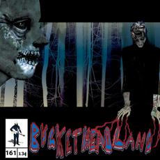 Bats in the Lite Brite mp3 Album by Buckethead