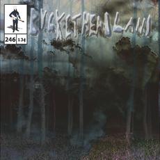 Nettle mp3 Album by Buckethead