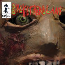 Digging Under the Basement mp3 Album by Buckethead