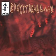 The Moss Lands mp3 Album by Buckethead