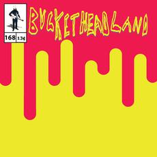 Ognarader mp3 Album by Buckethead