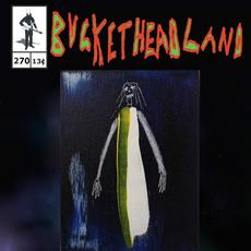 A3 mp3 Album by Buckethead