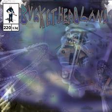 Mirror Realms mp3 Album by Buckethead