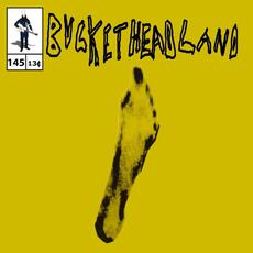 Kareem's Footprint mp3 Album by Buckethead
