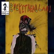 Woven Twigs mp3 Album by Buckethead