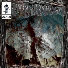 Arcade of the Deserted mp3 Album by Buckethead