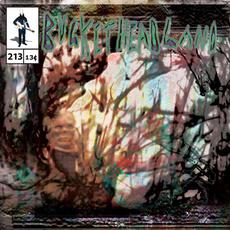 Crumple mp3 Album by Buckethead