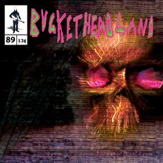 The Time Travelers Dream mp3 Album by Buckethead