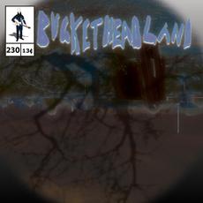 Rooftop mp3 Album by Buckethead