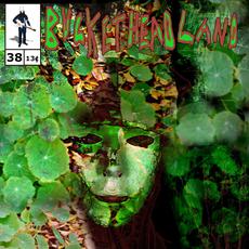It Smells Like Frogs mp3 Album by Buckethead