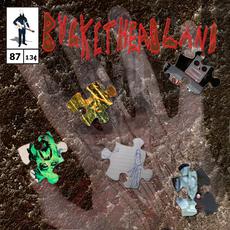 Interstellar Slunk mp3 Album by Buckethead