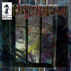 22222222 mp3 Album by Buckethead
