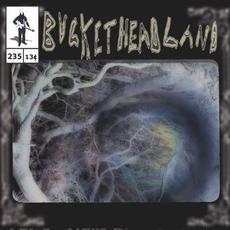 Oneiric Pool mp3 Album by Buckethead