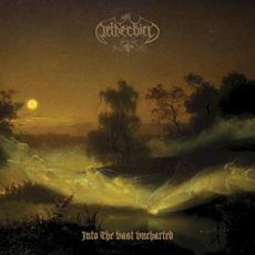 Into the Vast Uncharted mp3 Album by Netherbird