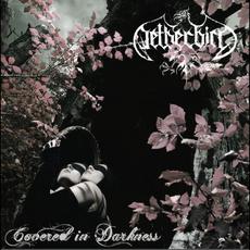 Covered in Darkness mp3 Album by Netherbird