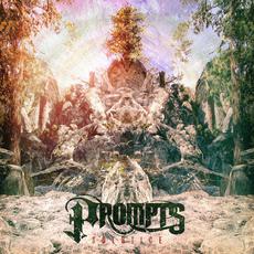 Solstice mp3 Album by Prompts