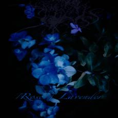 Rose / Lavender mp3 Album by Sadness