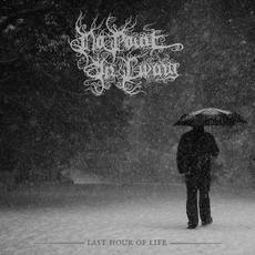 Last Hour of Life mp3 Album by No Point in Living