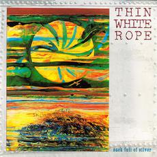 Sack Full of Silver (Remastered) mp3 Album by Thin White Rope
