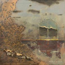 Wide Open mp3 Album by Ian Randall Thornton