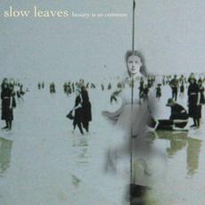 Beauty Is so Common mp3 Album by Slow Leaves