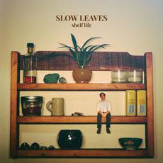 Shelf Life mp3 Album by Slow Leaves