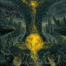 Desolated Realms Through Iniquity mp3 Album by Molested Divinity