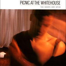 The Doors Are Open mp3 Album by Picnic at the Whitehouse