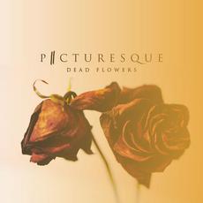 Dead Flowers mp3 Single by Picturesque
