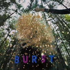 Burst mp3 Album by Snarls