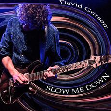 Slow Me Down mp3 Single by David Grissom
