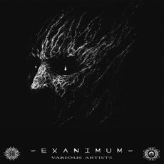 Exanimum mp3 Compilation by Various Artists