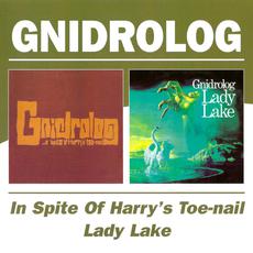 In Spite of Harry's Toe-nail / Lady Lake mp3 Artist Compilation by Gnidrolog