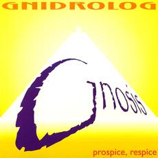 Gnosis mp3 Album by Gnidrolog