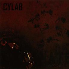 Disseminate mp3 Album by Cylab