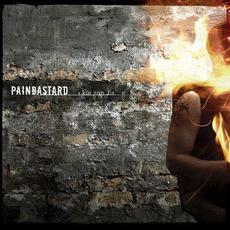 Skin on Fire mp3 Album by Painbastard