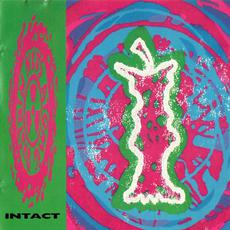 Intact mp3 Single by Ned's Atomic Dustbin