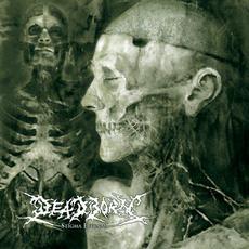 Stigma Eternal mp3 Album by Deadborn