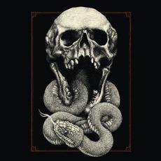 Aphotic Womb mp3 Album by Sinmara