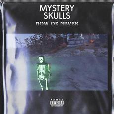 Now Or Never mp3 Album by Mystery Skulls