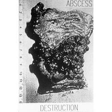 Destruction (Re-Issue) mp3 Album by Abscess (2)