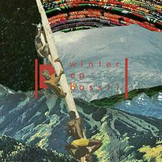 Winter EP mp3 Album by Bassti