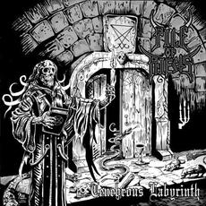 Tenebrous Labyrinth mp3 Album by Pile Of Priests