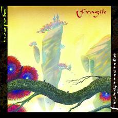 Golden Fragments mp3 Album by Fragile