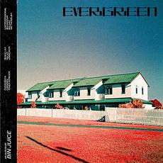 Evergreen mp3 Album by Bin Juice